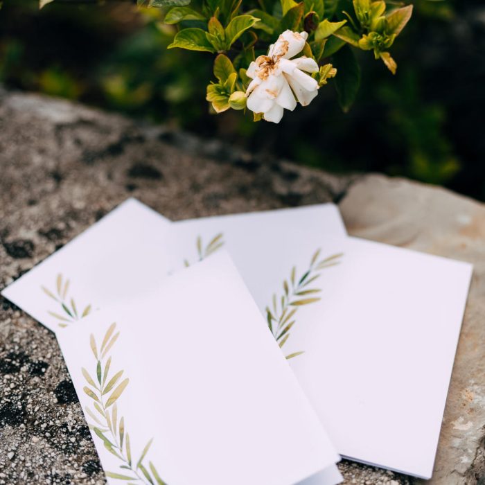 blank-postcards-with-ornaments-lie-stone-tile-blooming-green-bush