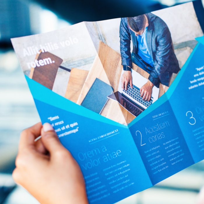 hands-holding-business-brochure